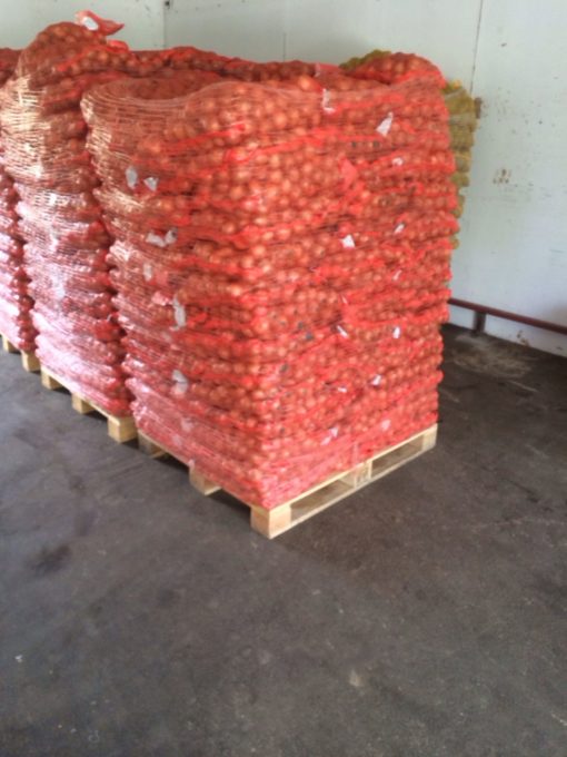 Vöröshagyma 10kg/zsák