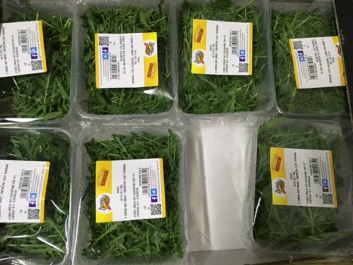 Saláta Rucola